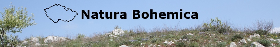 Natura Bohemica